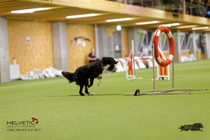 1T0A3557_DxO