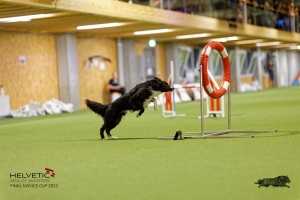 1T0A3558_DxO