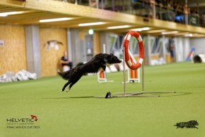 1T0A3559_DxO