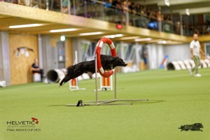 1T0A3561_DxO