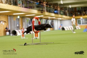 1T0A3562_DxO