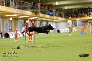 1T0A3563_DxO