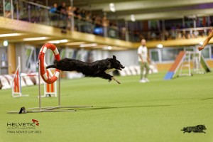 1T0A3564_DxO