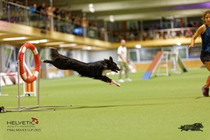 1T0A3565_DxO