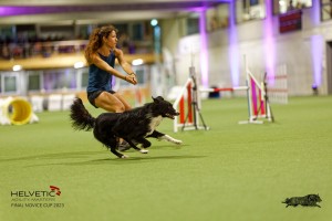 1T0A3579_DxO