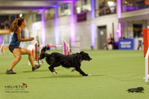 1T0A3584_DxO