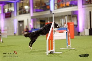 1T0A3592_DxO