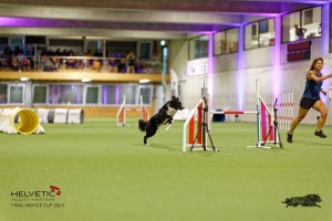 1T0A3624_DxO