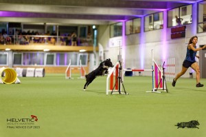 1T0A3625_DxO