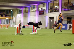 1T0A3634_DxO