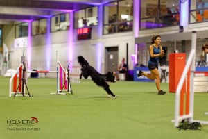 1T0A3638_DxO