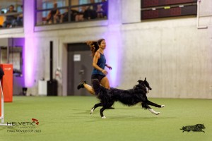 1T0A3667_DxO