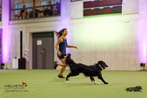 1T0A3669_DxO