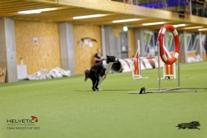 1T0A3755_DxO