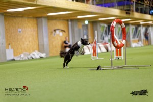 1T0A3756_DxO