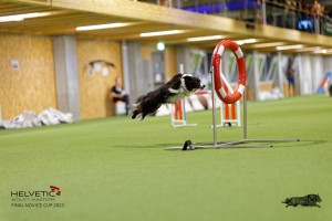 1T0A3758_DxO