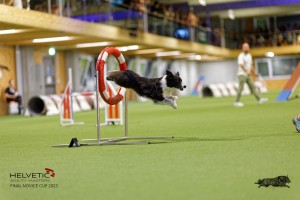 1T0A3763_DxO