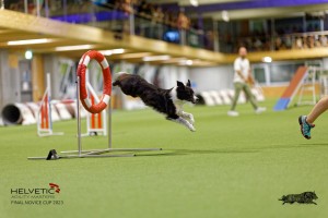 1T0A3764_DxO