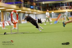 1T0A3765_DxO