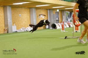 1T0A3880_DxO
