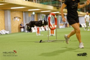 1T0A3885_DxO