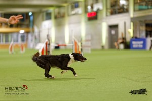 1T0A3901_DxO