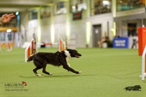 1T0A3902_DxO