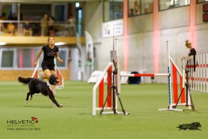 1T0A3940_DxO