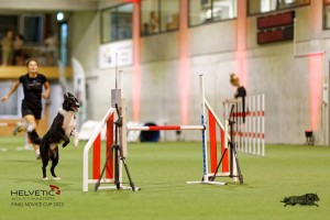 1T0A3945_DxO