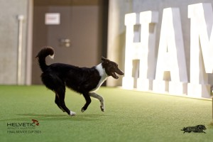 1T0A3990_DxO