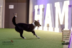 1T0A3992_DxO