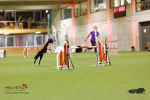 1T0A4095_DxO