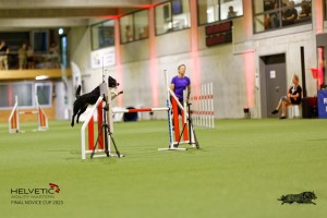 1T0A4099_DxO