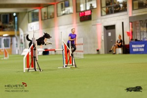 1T0A4101_DxO