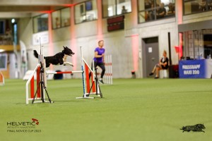 1T0A4102_DxO