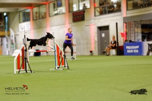1T0A4103_DxO