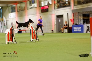 1T0A4104_DxO