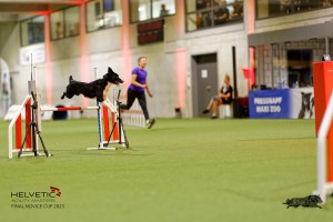1T0A4105_DxO