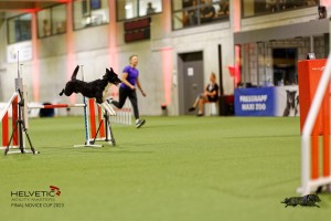 1T0A4106_DxO