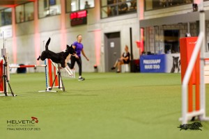 1T0A4107_DxO