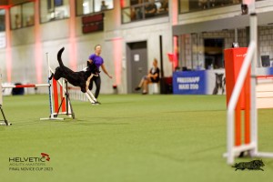 1T0A4108_DxO