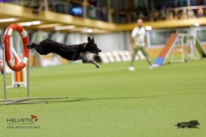 1T0A4170_DxO