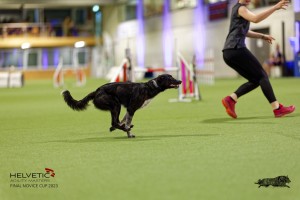 1T0A4180_DxO
