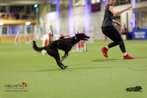 1T0A4181_DxO