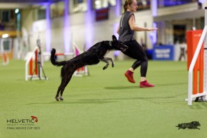 1T0A4183_DxO