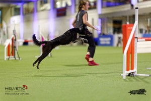 1T0A4184_DxO