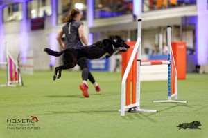 1T0A4187_DxO