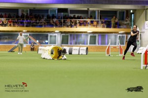 1T0A4197_DxO