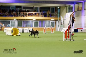 1T0A4208_DxO