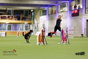 1T0A4217_DxO